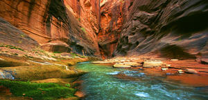 River Bed in the Grand Canyon HD Background