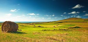 Hay Bales in the fields HD Wallpaper