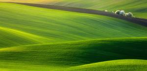 Hills of Moravia, Czech Republic HD Wallpaper