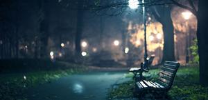 A Night Walk in the Park HD Big Wallpaper