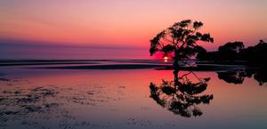 Nudgee Beach by Steve Greaves