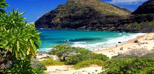 Oahu Beach in Hawaii Wallpaper HD