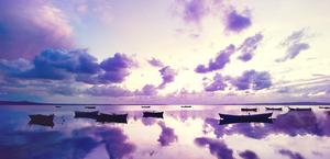 purple sunset hd wallpaper