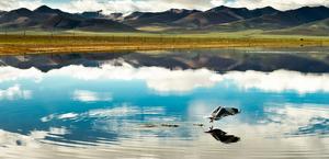 Tibet big wallpaper HD large