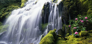 Tropical Waterfall HD Wallpaper