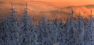 Winter Snow Wallpaper High Quality