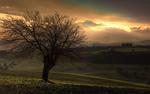 Country side hills tree hd wallpaper