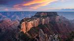 Grand Canyon Arizona Wildlife USA HD Wallpaper