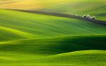 Hills of Moravia, Czech Republic HD Wallpaper