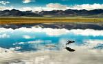 Tibet big wallpaper HD large