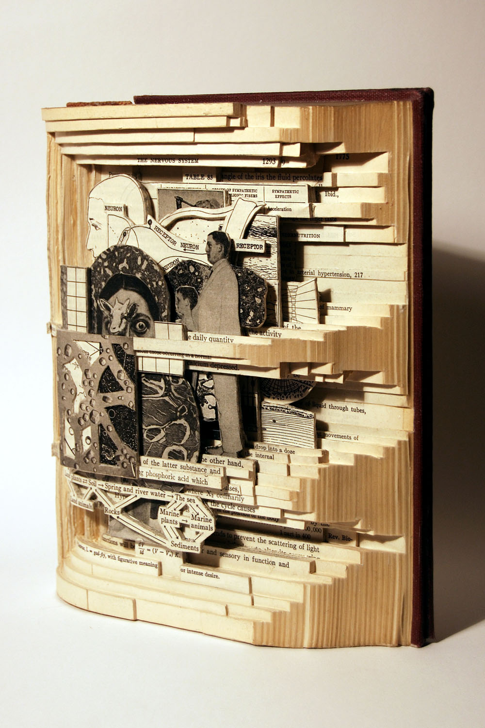 Interesting Book Carving Art by Brian Dettmer [14 Pics ...