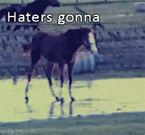 horse haters