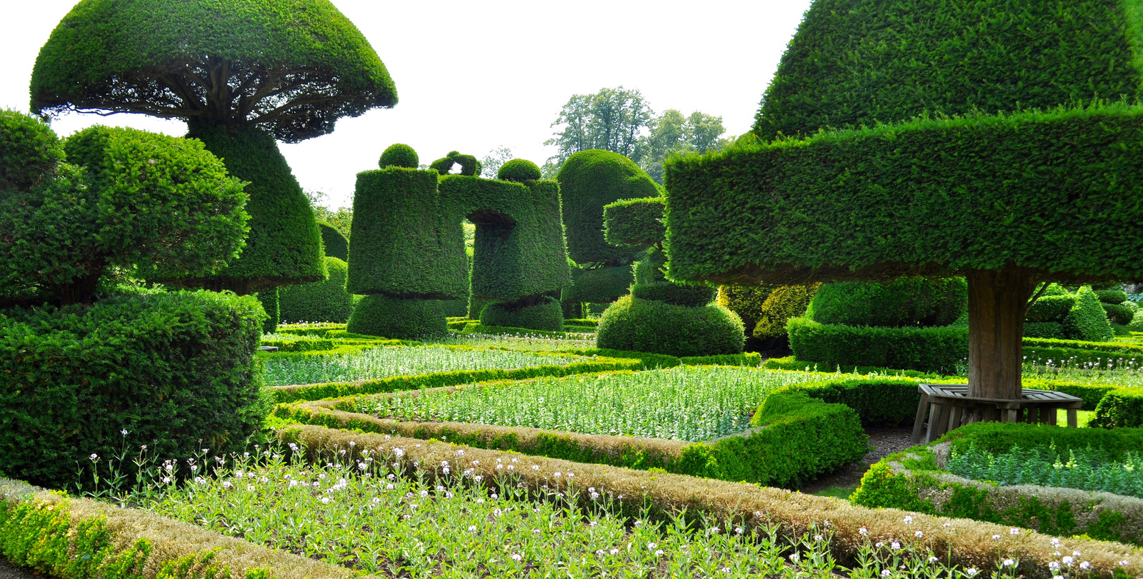 Stunning Beauty of Levens Hall Garden, UK [9 Pics]  I 