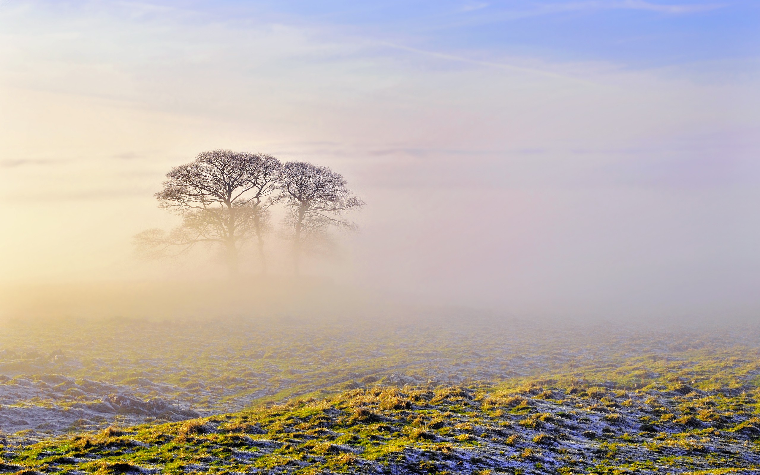 Daily Wallpaper: Frosty Morning | I Like To Waste My Time