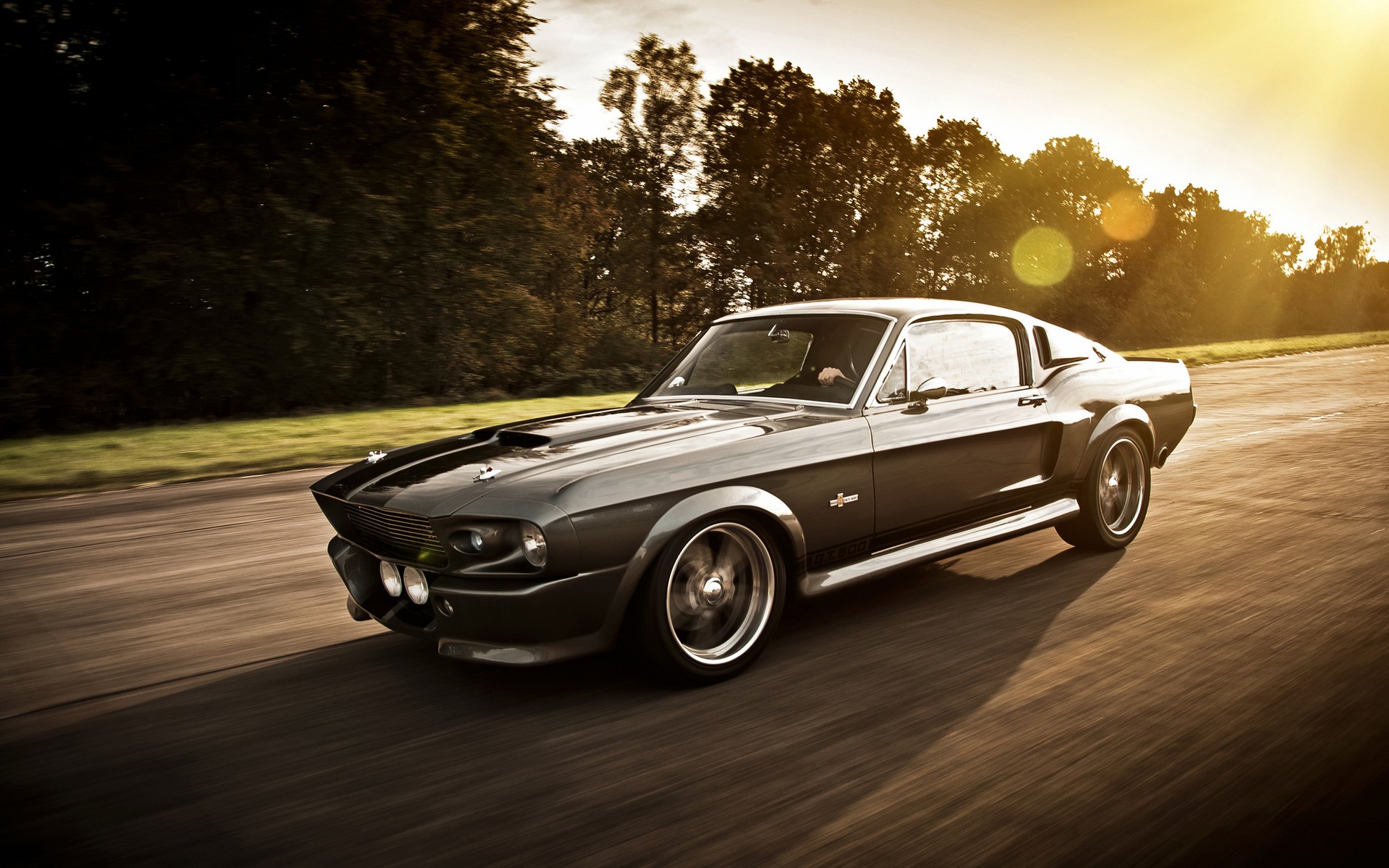 Daily Wallpaper: Shelby GT500 | I Like To Waste My Time