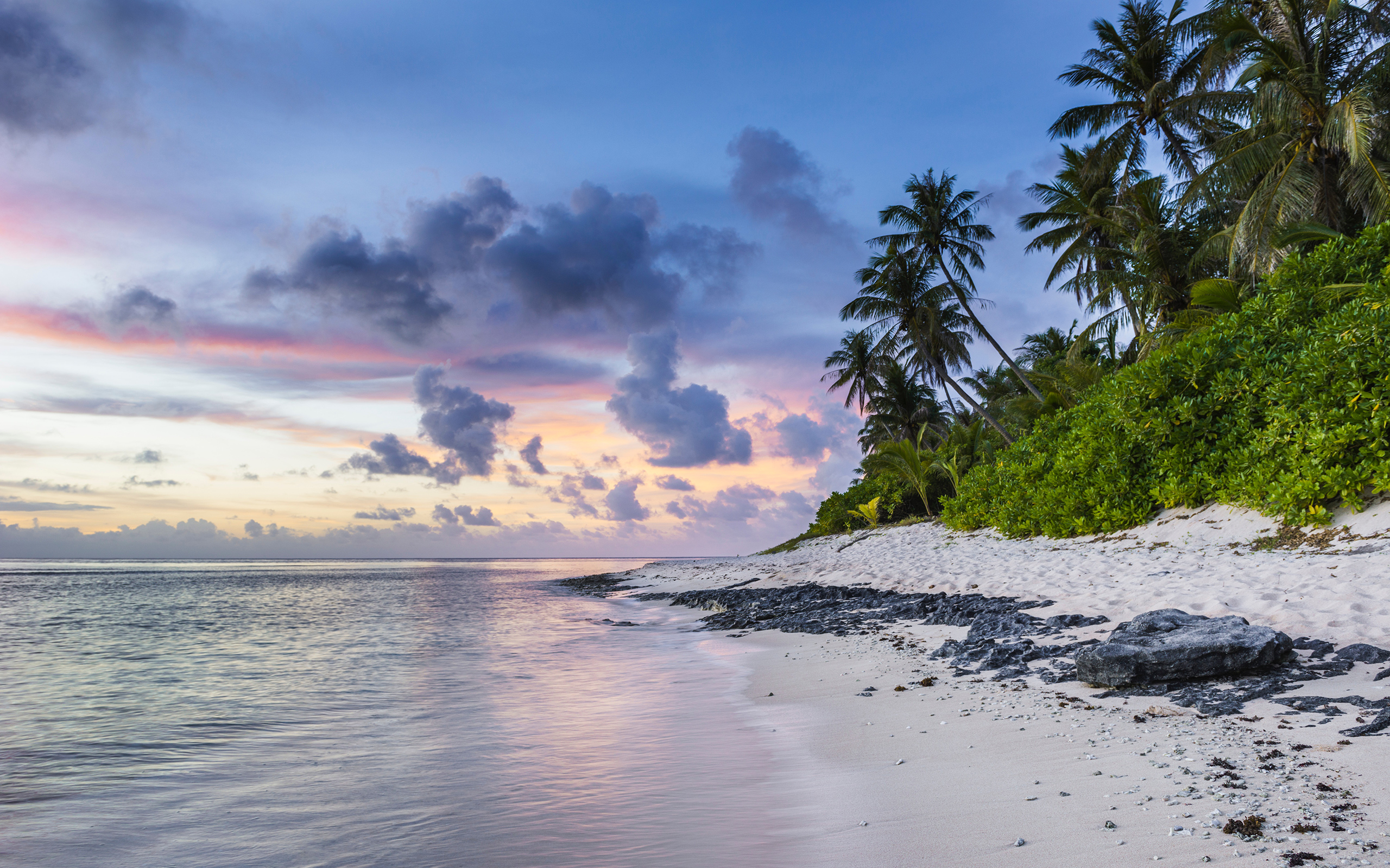 Daily Wallpaper Tropical Paradise Beach I Like To Waste My Time