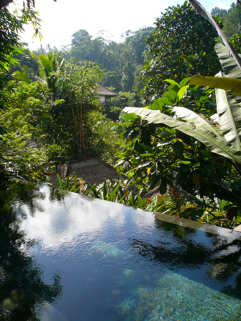 Beautiful Ubud Hanging Gardens  in Bali  Indonesia I Like 